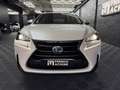 Lexus NX 300h 300h 2WD Pack Business Blanco - thumbnail 8