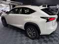 Lexus NX 300h 300h 2WD Pack Business Blanco - thumbnail 4