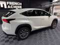 Lexus NX 300h 300h 2WD Pack Business Blanco - thumbnail 6