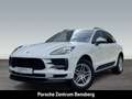 Porsche Macan Pano AHK RFK PDLS+ ACC Weiß - thumbnail 1