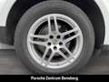 Porsche Macan Pano AHK RFK PDLS+ ACC Wit - thumbnail 13
