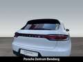 Porsche Macan Pano AHK RFK PDLS+ ACC Wit - thumbnail 12