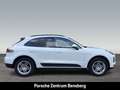 Porsche Macan Pano AHK RFK PDLS+ ACC Wit - thumbnail 6