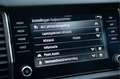 Skoda Kodiaq 1.5 TSI Business Edition | Adapt. Cruise | Camera Noir - thumbnail 28