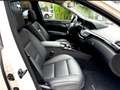 Mercedes-Benz S 350 S 350 BlueEFFICIENCY 7G-TRONIC Weiß - thumbnail 12
