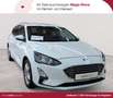 Ford Focus Focus Turnier 1.5 EB COOL&CONNECT Weiß - thumbnail 1