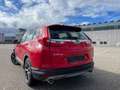 Honda CR-V 1.5 T 4WD Elegance Rot - thumbnail 4
