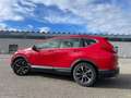 Honda CR-V 1.5 T 4WD Elegance Rot - thumbnail 7