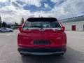 Honda CR-V 1.5 T 4WD Elegance Rot - thumbnail 5