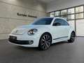 Volkswagen Beetle Lim. Sport *NAVI*SHZ*TEMP.*BLUET.*LEDER* Alb - thumbnail 1