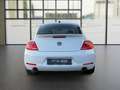 Volkswagen Beetle Lim. Sport *NAVI*SHZ*TEMP.*BLUET.*LEDER* Alb - thumbnail 4
