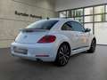 Volkswagen Beetle Lim. Sport *NAVI*SHZ*TEMP.*BLUET.*LEDER* Alb - thumbnail 5
