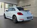 Volkswagen Beetle Lim. Sport *NAVI*SHZ*TEMP.*BLUET.*LEDER* Alb - thumbnail 3