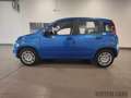 Fiat Panda Panda 1.0 FireFly S&S Hybrid Icon - Km0 Blu/Azzurro - thumbnail 3