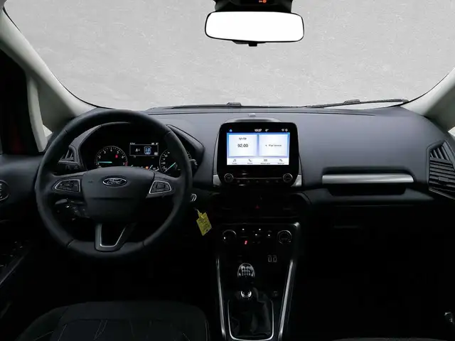 Ford Ecosport view 9
