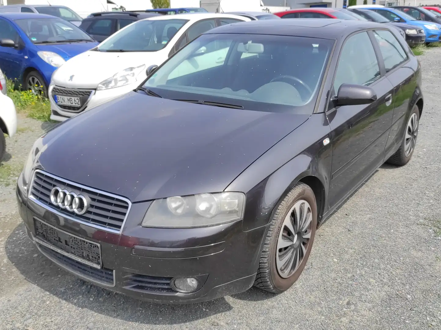 Audi A3 1.6 KLIMAA SHZ BC EL. SCHIEBEDACH SERVO Ambition Grau - 1