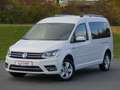 Volkswagen Caddy 2.0 TDI Maxi Highline 4Motion 7-Sitzer USB Weiß - thumbnail 2
