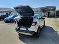 Renault Captur 1.0 TCe 100cv GPL Zen Wit - thumbnail 9