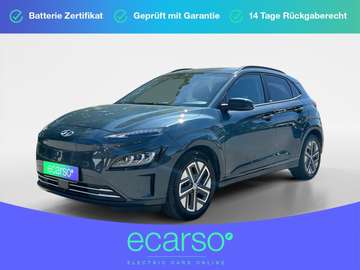 Trend Elektro 2WD