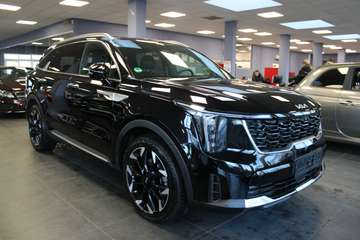 Platinium 4WD - Panorama - Head-Up - AHK -