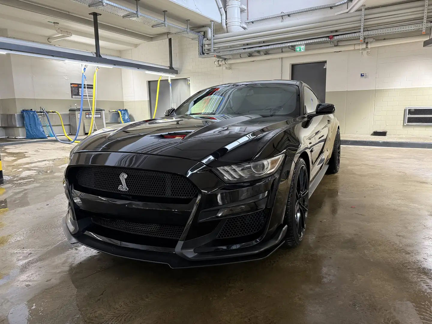 Ford Mustang 3.7 V6 Automatik Shelby GRAIL Abgasanl. KEYLESS - 2