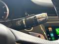 Land Rover Range Rover Evoque 1.5 P300e AWD R-Dynamic SE / Pano / Trekhaak / 360 Weiß - thumbnail 16
