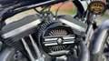 Harley-Davidson XL 883 Argent - thumbnail 9