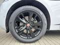 Jaguar F-Pace D300 R-Dynamic SE Weiß - thumbnail 10