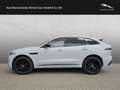Jaguar F-Pace D300 R-Dynamic SE Weiß - thumbnail 7