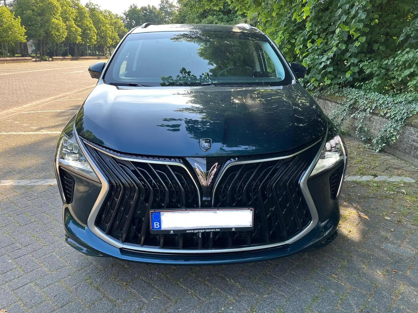 Forthing U-Tour Limousine Verde - 2
