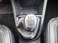Renault Clio dCi 75 5 porte Moschino Intens - thumbnail 14