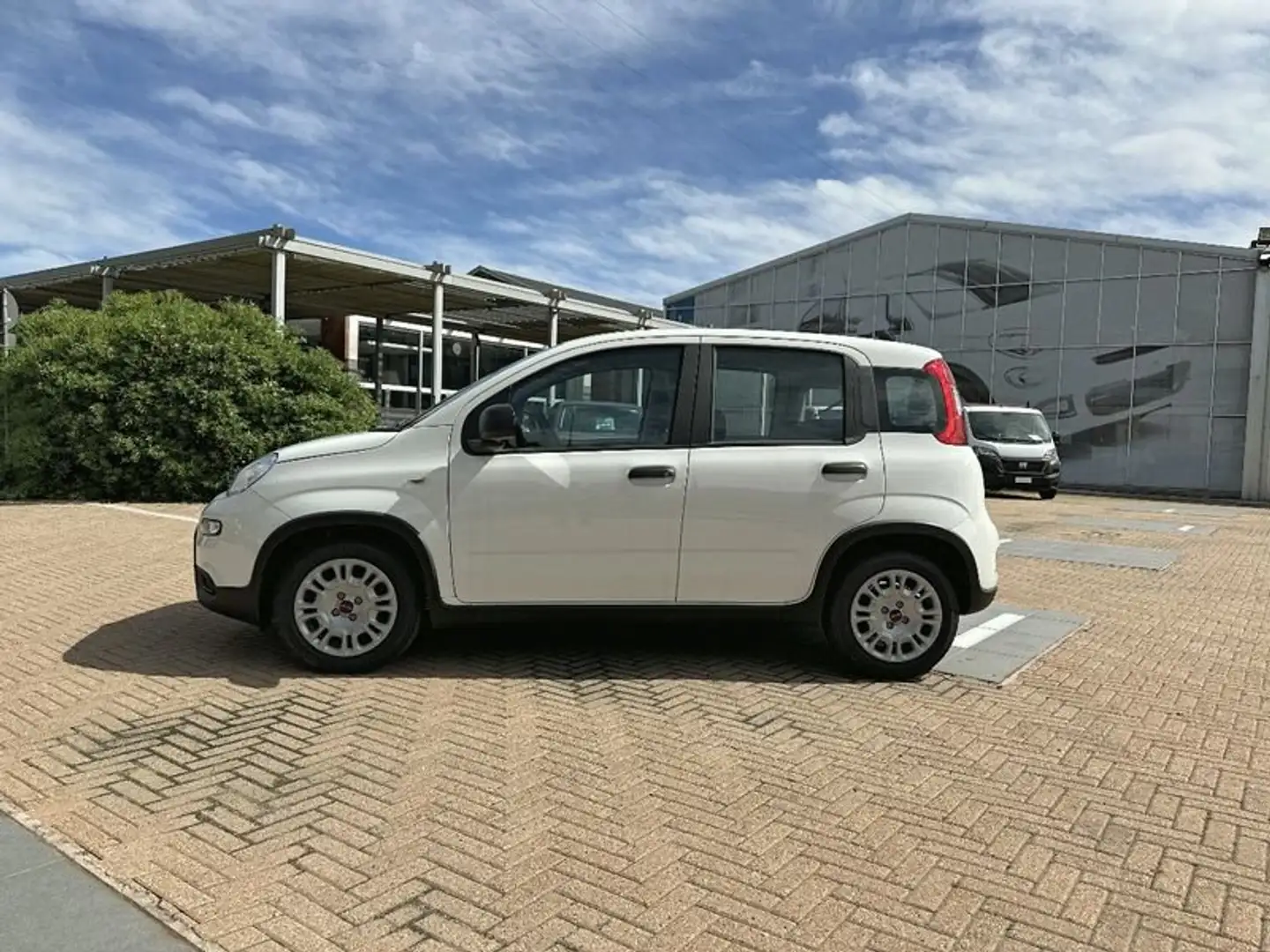 Fiat Panda 1.0 FireFly 70cv S&S Hybrid Blanc - 2