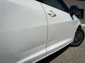 SEAT Ibiza Ibiza ST Style 1,2 TSI Style Weiß - thumbnail 11