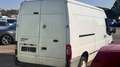 Ford Transit Kasten FT 300 L LKW Blanc - thumbnail 3