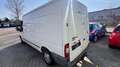 Ford Transit Kasten FT 300 L LKW Blanc - thumbnail 4