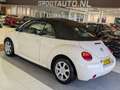 Volkswagen New Beetle Cabriolet DAK DEFECT 1.4 Highline Airco, Lederen, - thumbnail 3