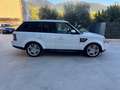 Land Rover Range Rover Sport Range Rover Sport I 2010 3.0 sdV6 HSE auto 8m Blanc - thumbnail 4