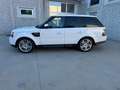 Land Rover Range Rover Sport Range Rover Sport I 2010 3.0 sdV6 HSE auto 8m Blanc - thumbnail 8