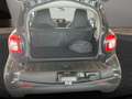 smart forTwo EQ 60kWed passion SHZ PDC Dig Radio Tempom Negro - thumbnail 20