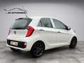 Kia Picanto Dream Team TÜV NEU Blanc - thumbnail 5