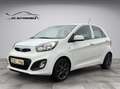 Kia Picanto Dream Team TÜV NEU Blanc - thumbnail 1