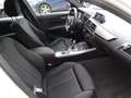 BMW 120 Serie 1 F/20-21  120d Msport 5p auto Bianco - thumbnail 13