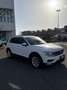 Volkswagen Tiguan Tiguan 1.6 TDI SCR Business BlueMotion Technology Bianco - thumbnail 11