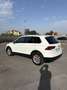Volkswagen Tiguan Tiguan 1.6 TDI SCR Business BlueMotion Technology Bianco - thumbnail 5