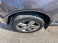 Volkswagen Touareg Touareg 3.0 V6 tdi Executive 240cv tiptronic dpf Grigio - thumbnail 4