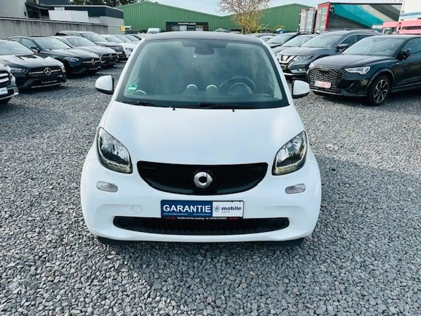 smart forTwo fortwo coupe Basis *Navi*Sitzheizung Weiß - 2
