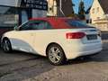 Audi A3 Cabriolet Ambition*XENON*TÜV NEU*GARANTIE* Weiß - thumbnail 4