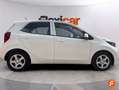 Kia Picanto 1.0 DPi Concept Blanco - thumbnail 9