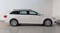 Skoda Superb 1.4TSI DSG Combi Ambi. iV PANO*AHK*CANTON Weiß - thumbnail 8