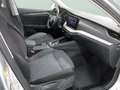 Skoda Octavia 2.0TDI Selection DSG 110kW Plateado - thumbnail 9
